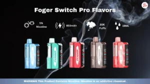 Foger Switch Pro Price